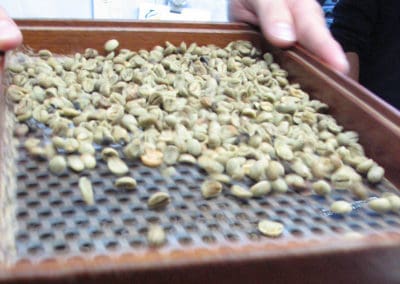 Coffee production in Brazil