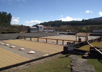 Coffee production in Brazil